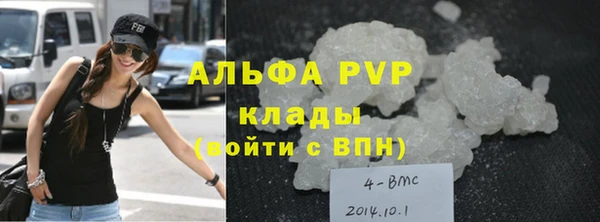 мяу мяу мука Абаза