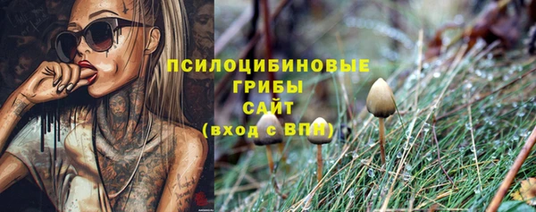 МДМА Осташков