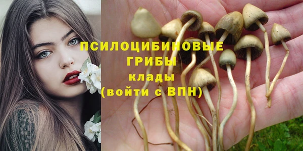 мяу мяу мука Абаза